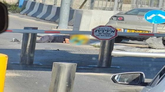 الاحتلال يعتدي على شاب ويعتقله شمال غرب القدس