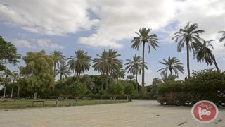 حالة الطقس