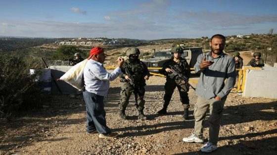 تقرير -نحو 25 ألف دونم يمنع الاحتلال أصحابها من قطف الزيتون