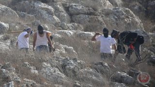 مستوطنون يهاجمون رعاة أغنام قرب عناتا شرق القدس