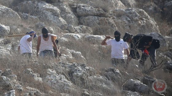 تقرير: جرائم المستوطنين تتصاعد بالضفة تمهيدا للضم وطرد سكانها