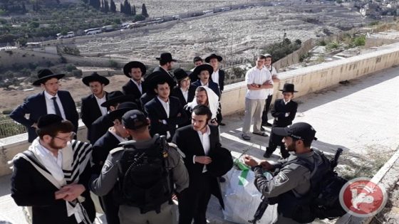 محافظة القدس: تحطيم شواهد قبور “باب الرحمة” جريمة حرب