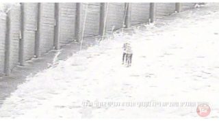 جيش الاحتلال: قتلنا شابين جنوب رام الله