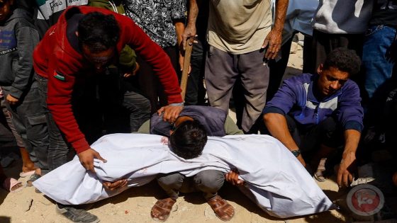 صحة غزة: 4 شهداء في غزة خلال 24 ساعة
