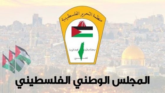 المجلس الوطني: ما يتعرض له الأطفال بفلسطين يمثل انتهاكا للقانون الدولي الإنساني