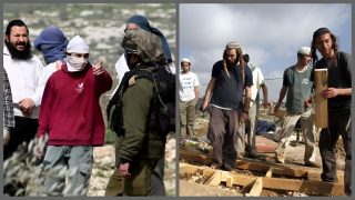 “شبيبة التلال”.. من الهامش إلى إرهاب يهودي منظم ضد الفلسطينيين
