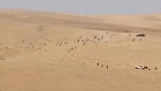 إصابة شاب بجروح جراء اعتداء مستوطنين شمال غرب أريحا