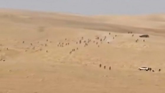 إصابة شاب بجروح جراء اعتداء مستوطنين شمال غرب أريحا