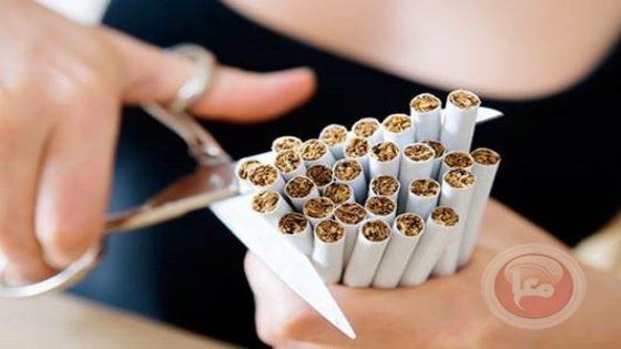 دعوات لضمان النزاهة العلمية في مناقشات مكافحة التبغ العالمية