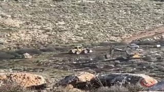 جرافات الاحتلال تقتلع عشرات أشجار الزيتون في دير بلوط غرب سلفيت