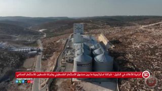 الرابية للأعلاف في الخليل … نموذج جديد يعكس نجاح الاستثمار الوطني