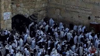 شاهد- مستوطنون يقتحمون الأقصى ويؤدون طقوساً تلمودية بحماية الاحتلال