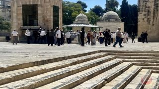 شاهد- اقتحام مستوطنين للمسجد الأقصى خلال عيد “الحانوكا”