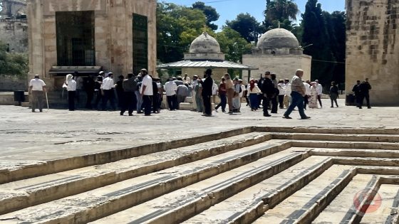 شاهد- اقتحام مستوطنين للمسجد الأقصى خلال عيد “الحانوكا”