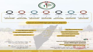 سلطة الأراضي تُنجز تسوية 17 حوضاً وتُصدر 1933 سند تسجيل في سبع محافظات