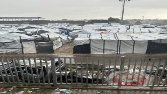 باحث فلسطيني: حكم التكنوقراط خيار واقعي لإدارة غزة في مرحلة ما بعد الحرب