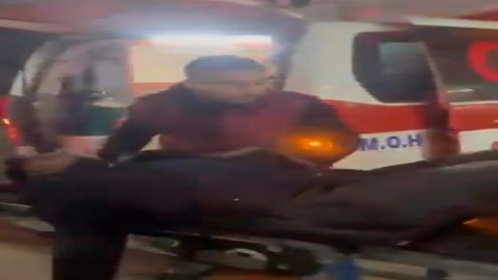 شهيدان ومصابون جراء قصف الاحتلال منزلا في حي التفاح بغزة