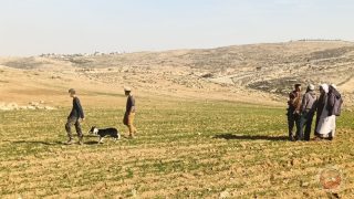 مستوطنون يهاجمون السكان في مسافر يطا واصابة عدد من المواطنين بحالات اختناق