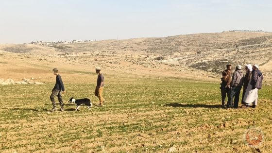 مستوطنون يهاجمون السكان في مسافر يطا واصابة عدد من المواطنين بحالات اختناق