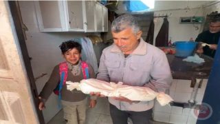 شهيدان بنيران الاحتلال بخان يونس وغزة ووفاة رضيع بردا