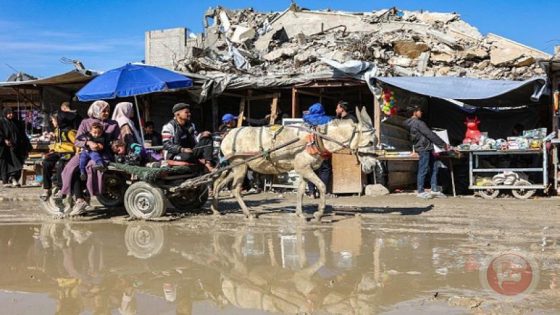 استشهاد صياد وإصابة آخر في بحر رفح وشهيد آخر بالمواصي