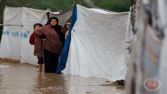الصحة بغزة تنفي وجود حالات بمرض “الليبتوسبيروسس” في القطاع