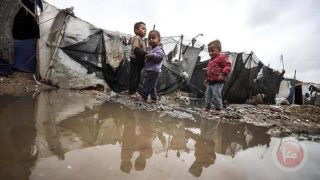 أكثر من مليون شخص في غزة بحاجة ماسة لمساعدة في الإيواء