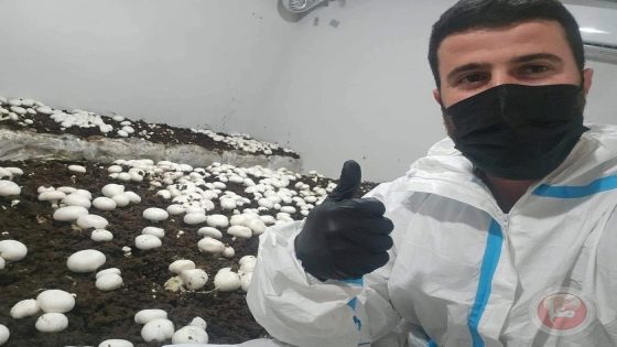 رغم التحديات الاقتصادية… شاب من بديا يخوض تجربة زراعة الفطر