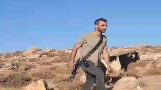 مستوطنون يقتلون رأسا من الماشية ويلاحقون الرعاة بالأغوار الشمالية