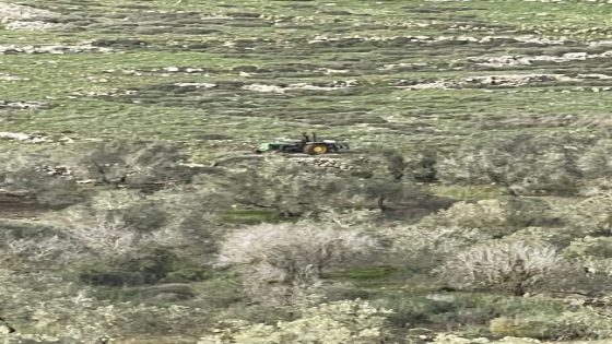 مستوطنون يحرثون أراضي المواطنين في ياسوف شرق سلفيت