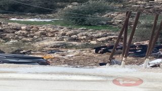مستوطنون يهاجمون المواطنين في وادي العين وجيش الاحتلال يحتجز عدداً منهم بدير بلوط