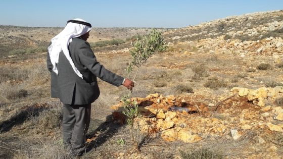 تقرير رسمي: خسائر القطاع الزراعي في الضفة تتجاوز 103 ملايين دولار عام 2025