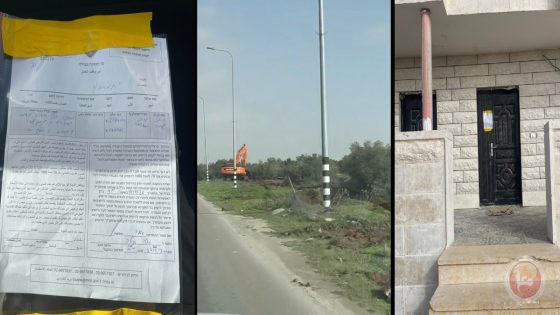 بيت لحم.. الاحتلال يقتلع مئات أشجار الزيتون ويخطر 20 منزلاً في بلدة تقوع