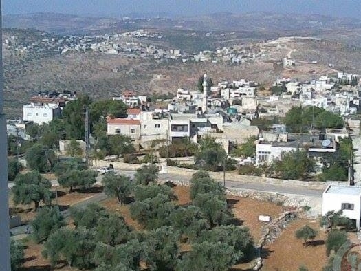 قرار اسرائيلي بإزالة أشجار في قرية كفر مالك شرق رام الله