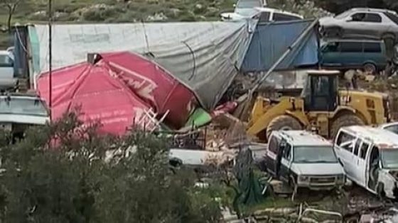 الاحتلال يهدم منشآت ويقتلع عشرات أشجار الزيتون ويجرف أراضي في محافظة الخليل