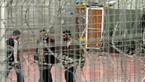 3 أسرى في سجن “مجدو” يعانون أوضاعا صحية صعبة
