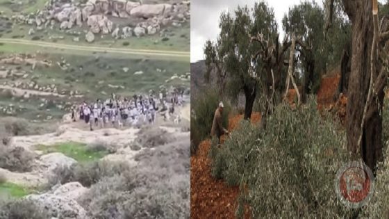 فيديو- مستوطنون يؤدون طقوسا تلمودية ويقطعون أشتال زيتون جنوب نابلس