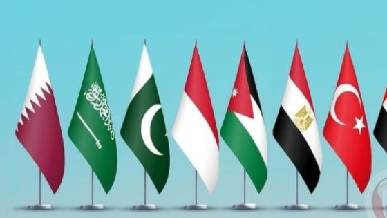 8 دول عربية وإسلامية: لا سيادة لإسرائيل على الأراضي الفلسطينية