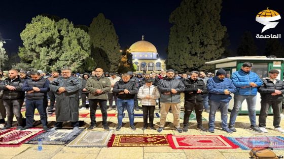 50 ألف مصلٍ يؤدون صلاتي العشاء والتراويح بالأقصى