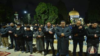 100 ألف مصلٍ يؤدون العشاء والتراويح في “الأقصى”