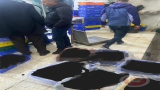 الخليل: ضبط طنين من لحوم الدجاج الفاسدة وإتلافها