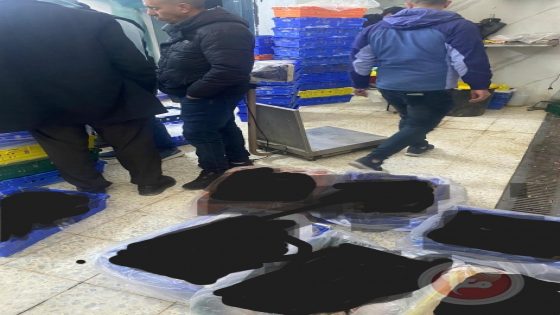 الخليل: ضبط طنين من لحوم الدجاج الفاسدة وإتلافها