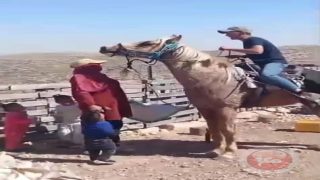 “المسافر”تحت النار.. المستوطنون والجيش ينفذون اعتداءات ممنهجة لتهجير السكان