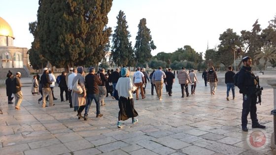 شاهد.. مستوطنون يرقصون ويغنون في باحات الأقصى بأول أيام رمضان