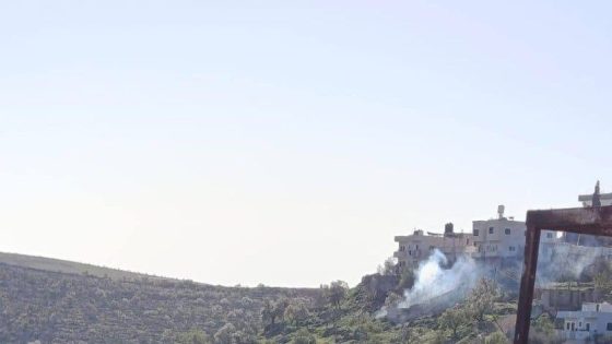 مستوطنون يرعون أغنامهم في المغير شرق رام الله