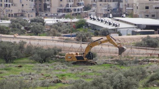رام الله.. الاحتلال يقتلع مئات أشجار الزيتون في دير قديس وخربثا بني حارث