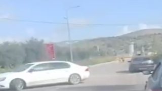 بزعم محاولة دهس- الاحتلال يطلق النار على فلسطيني قضاء طولكرم