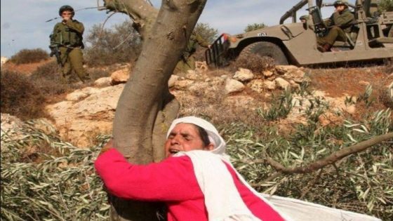 وزارة المرأة بيوم الأرض: المرأة الفلسطينية شريكاً أساسياً بمسيرة الدفاع عن الأرض