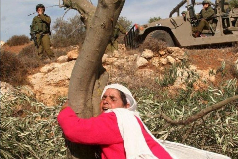 وزارة المرأة بيوم الأرض: المرأة الفلسطينية شريكاً أساسياً بمسيرة الدفاع عن الأرض