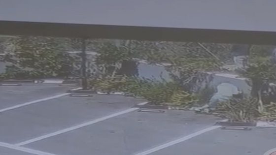 استشهاد حارس منتزه خلال هجوم للمستوطنين شمال رام الله